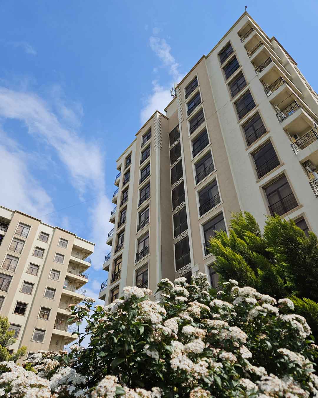 🌸 Hər Gününüz Bahar Dadında